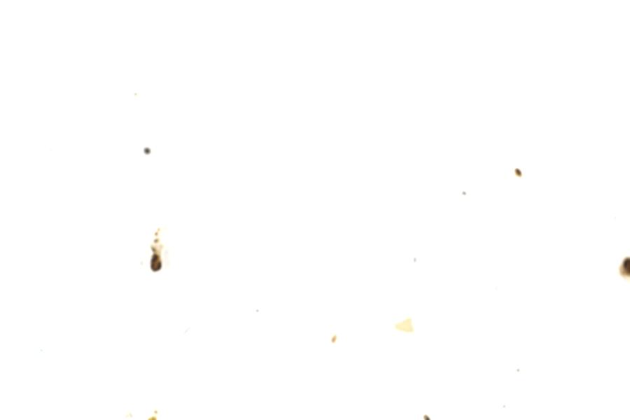 Image 37